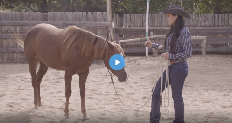 Screen Shot 2022-01-20 at 9.34