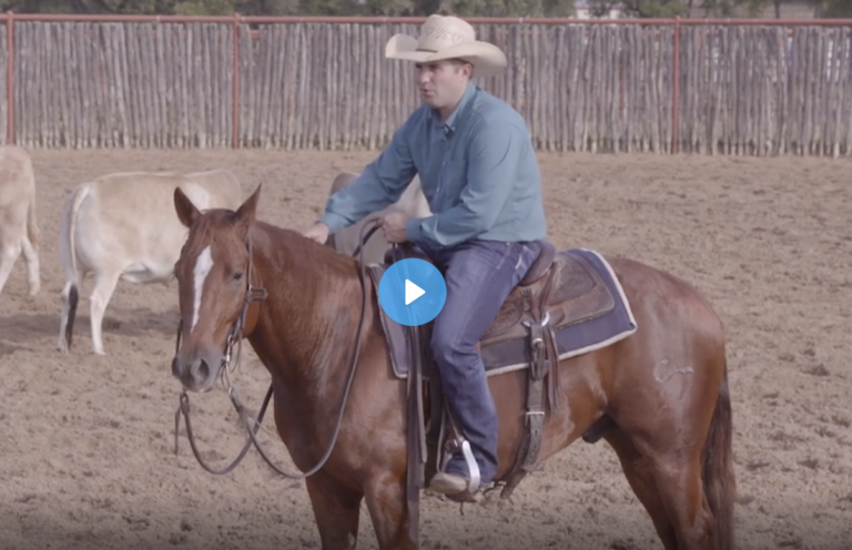 Screen Shot 2022-01-26 at 12.37