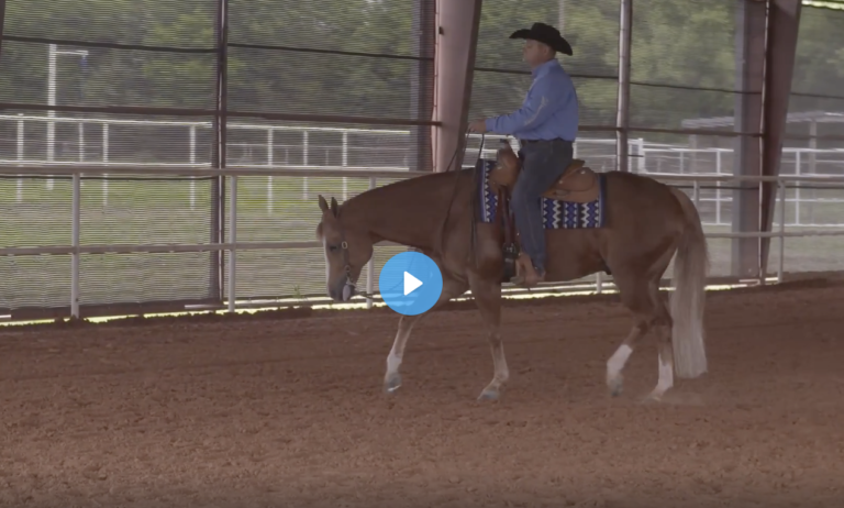 Screen Shot 2022-01-26 at 12.40