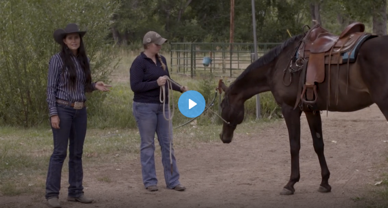 Screen Shot 2022-01-26 at 12.48