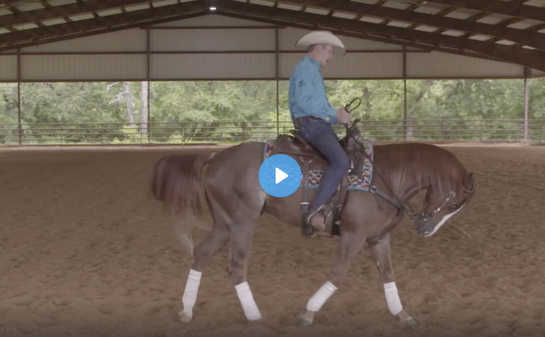 Screen Shot 2022-02-03 at 1.25