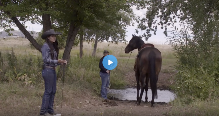 Screen Shot 2022-02-03 at 1.31