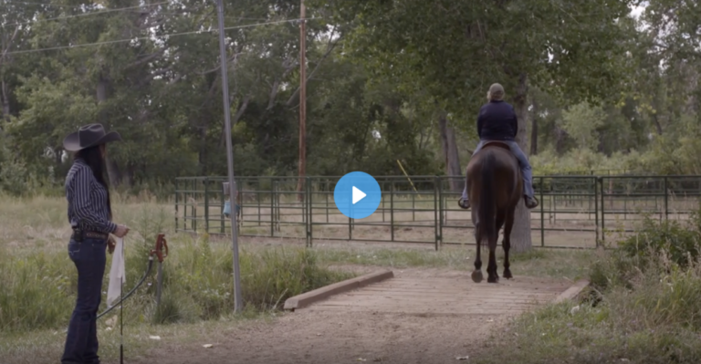 Screen Shot 2022-02-21 at 4.16