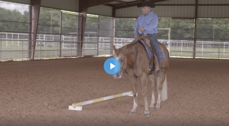 Screen Shot 2022-02-23 at 12.37