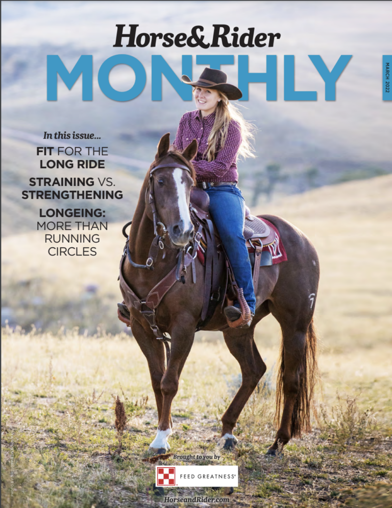 Screen Shot 2022-02-28 at 2.48