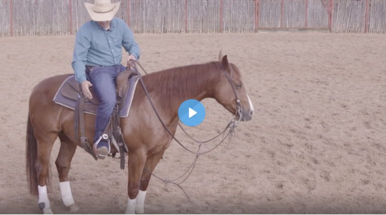 Screen Shot 2022-03-07 at 11.03