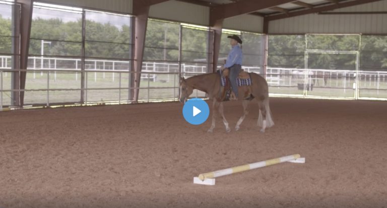 Screen Shot 2022-03-07 at 11.07