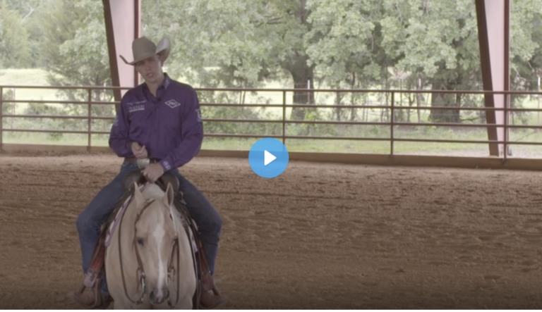 Screen Shot 2022-03-07 at 11.43