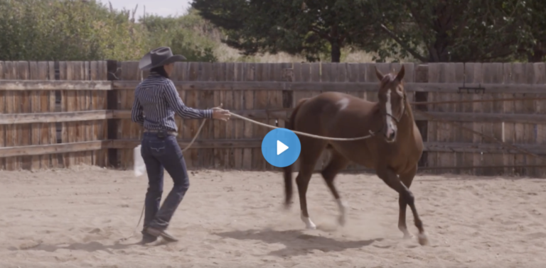 Screen Shot 2022-03-07 at 11.48