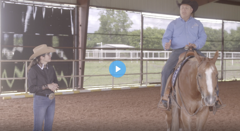 Screen-Shot-2022-04-13-at-11.28