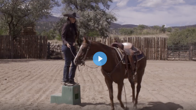 Screen-Shot-2022-04-13-at-11.40