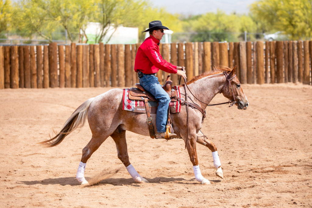 Brad Barkemeyer loping a red roan horse in an arena. He is using Weaver Leather tack and gear.