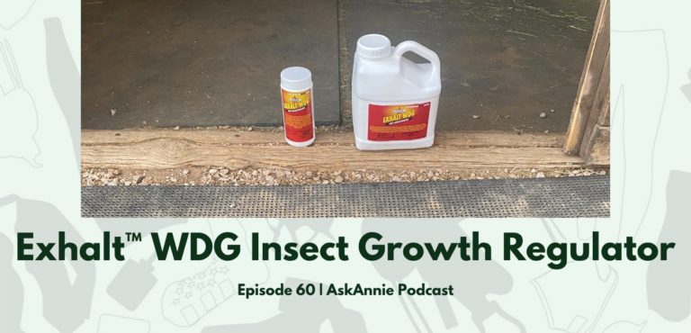 AskAnnie: HR Header Episode 60