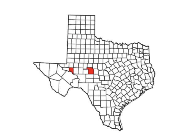 Screen-Shot-2022-06-15-at-6.47