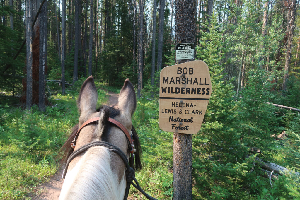 Bob Marshall Wilderness Complex