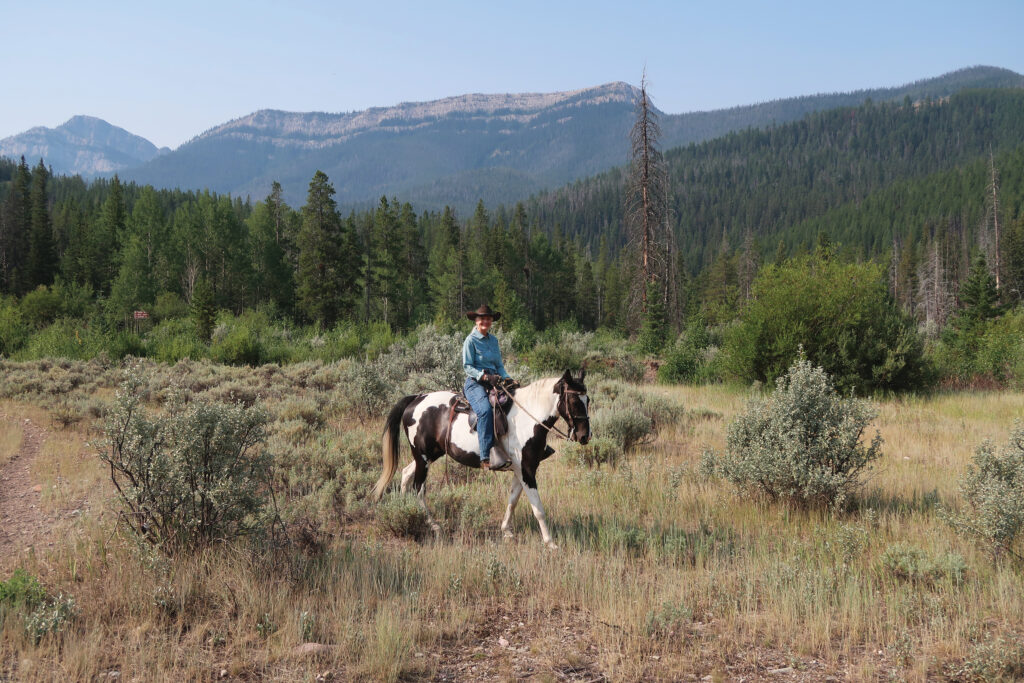 Bob Marshall Wilderness Complex