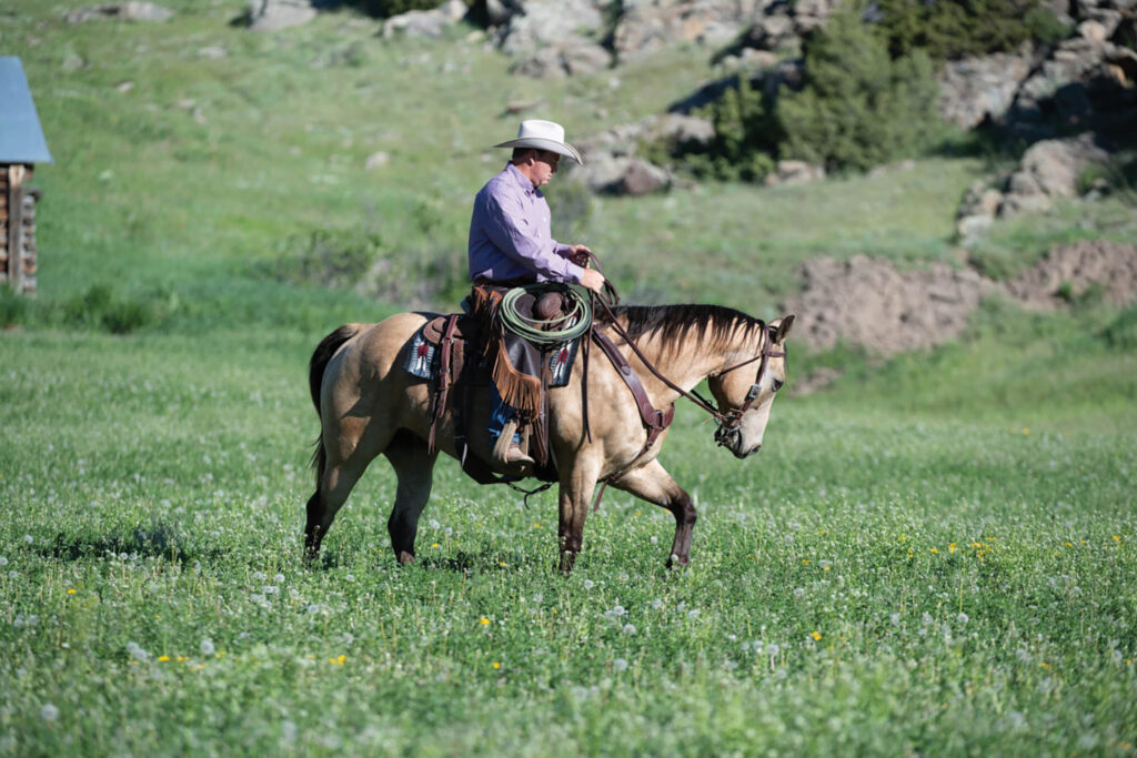 Become a confident rider. 