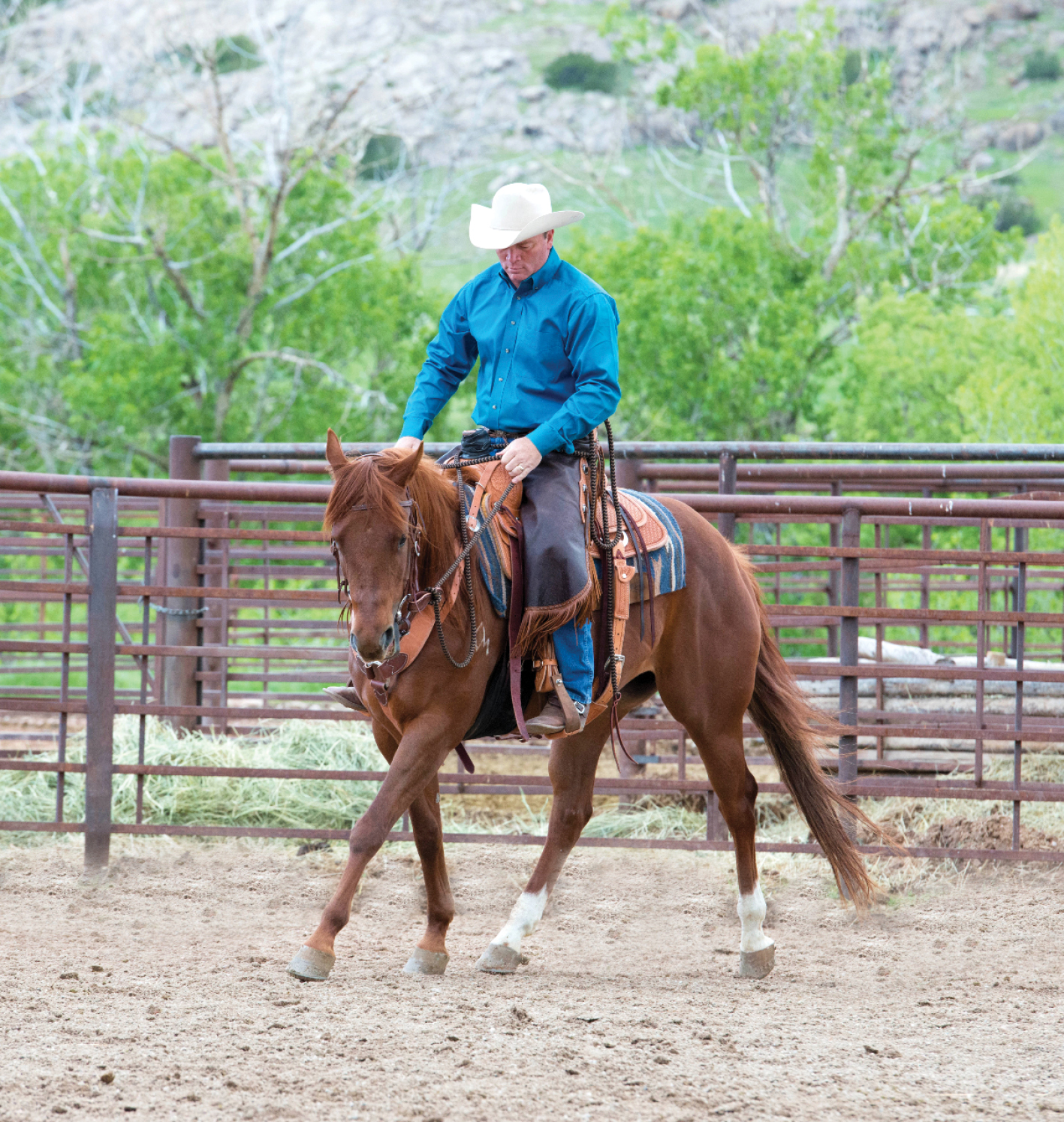 Become a Confident Rider and Know Your Horse - Horse and Rider