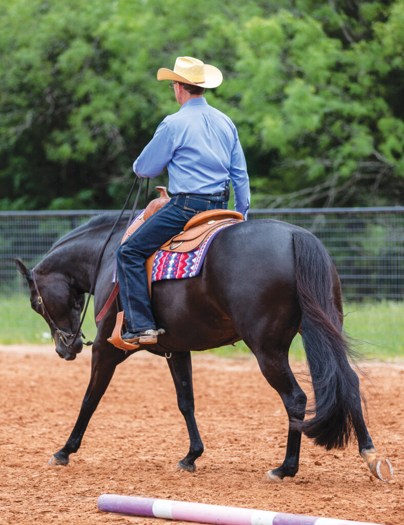 western riding