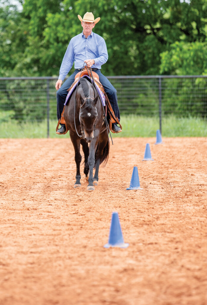 western riding
