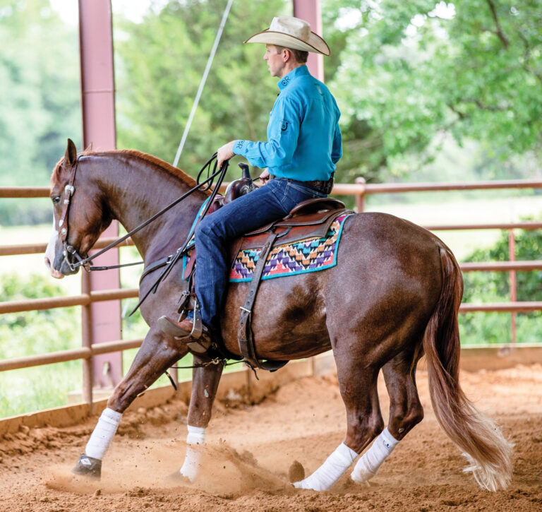 HR_22SUM_Winning Insights_02