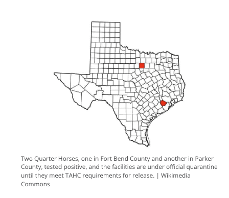 Texas horses test positive for EIA