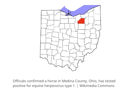 Equine Herpes Virus in Ohio