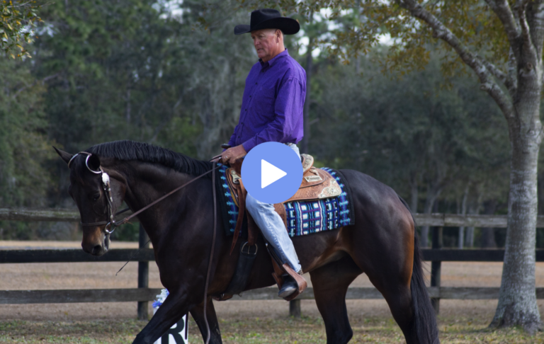 Screen-Shot-2022-07-18-at-4.55