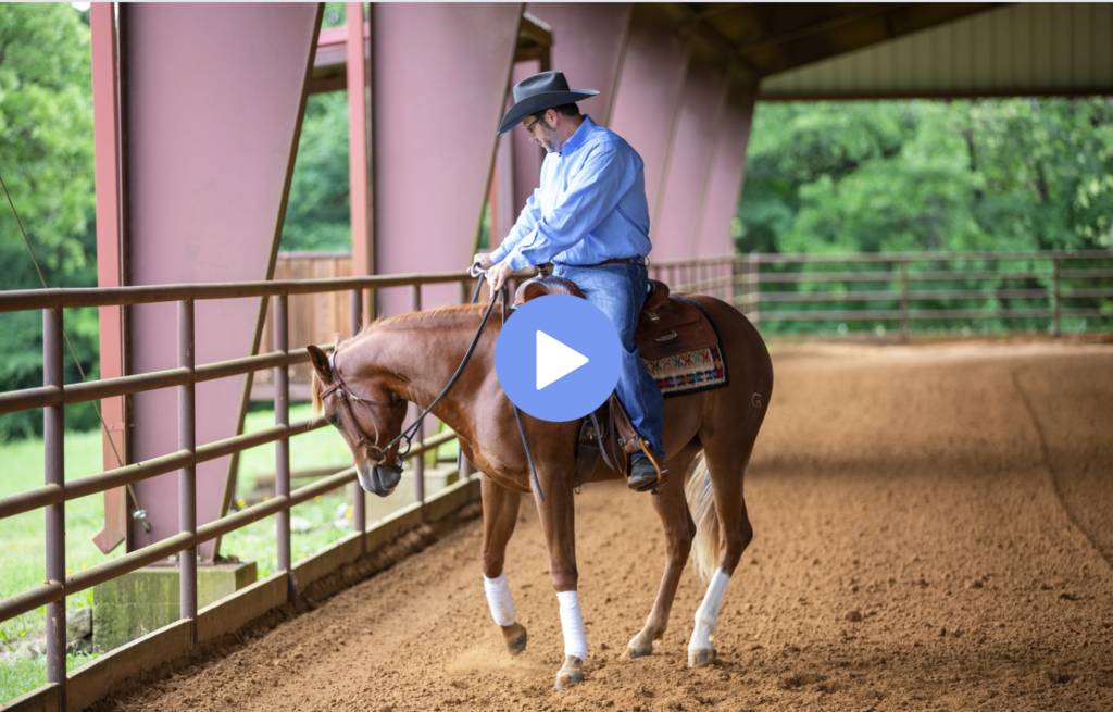 different reining cues transitions