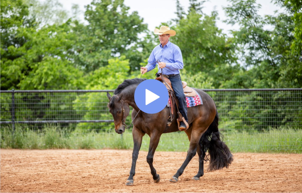 pattern placement western riding