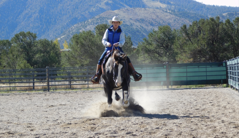 Screen Shot 2022-07-19 at 11.16