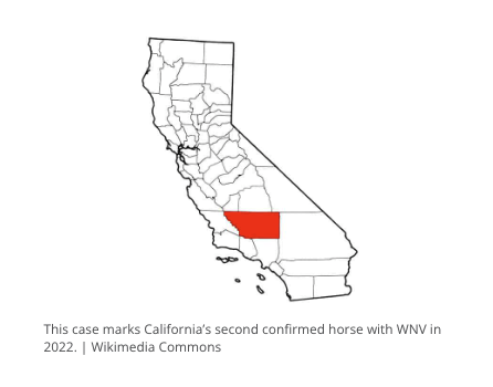 West Nile Virus
