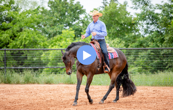 horsemanship drill