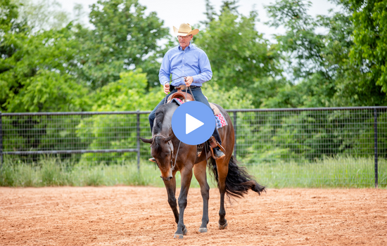 horsemanship at home practice