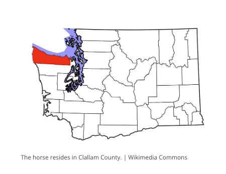Washington horse strangles