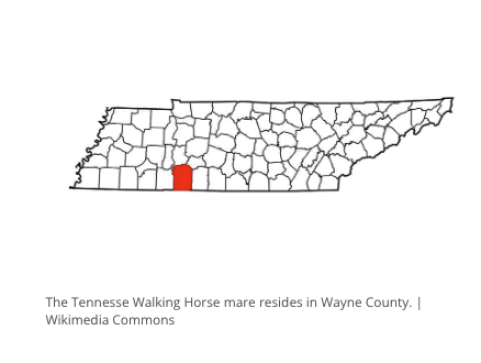 Potomac Horse Fever