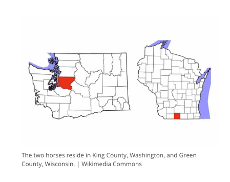 strangles horse Washington Wisconsin