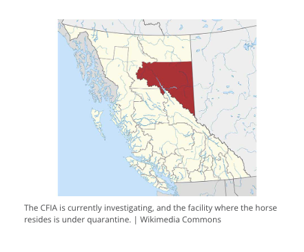 EIA