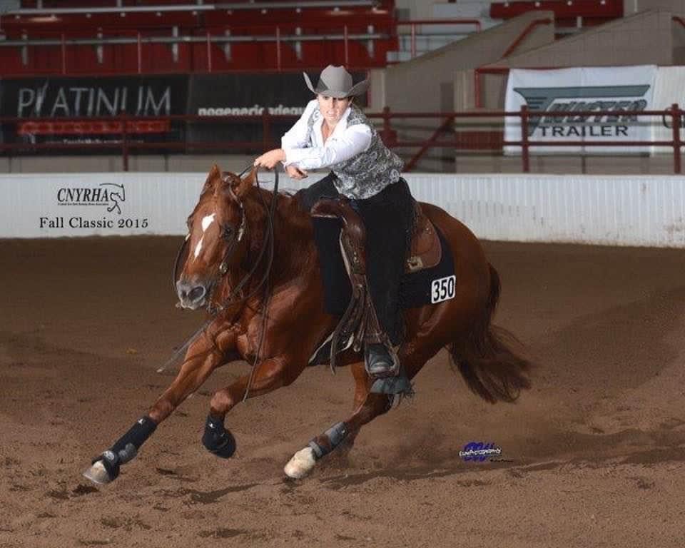 Shauna brown horse trainer red sorrel mare