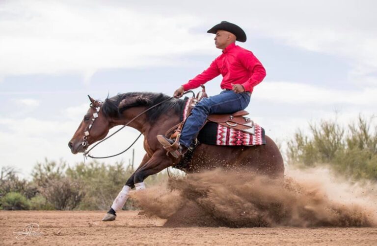 59436207_2418036734882569_3161592307816333312_n