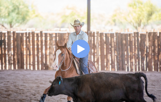 Maintaining an Older Cutting Horse