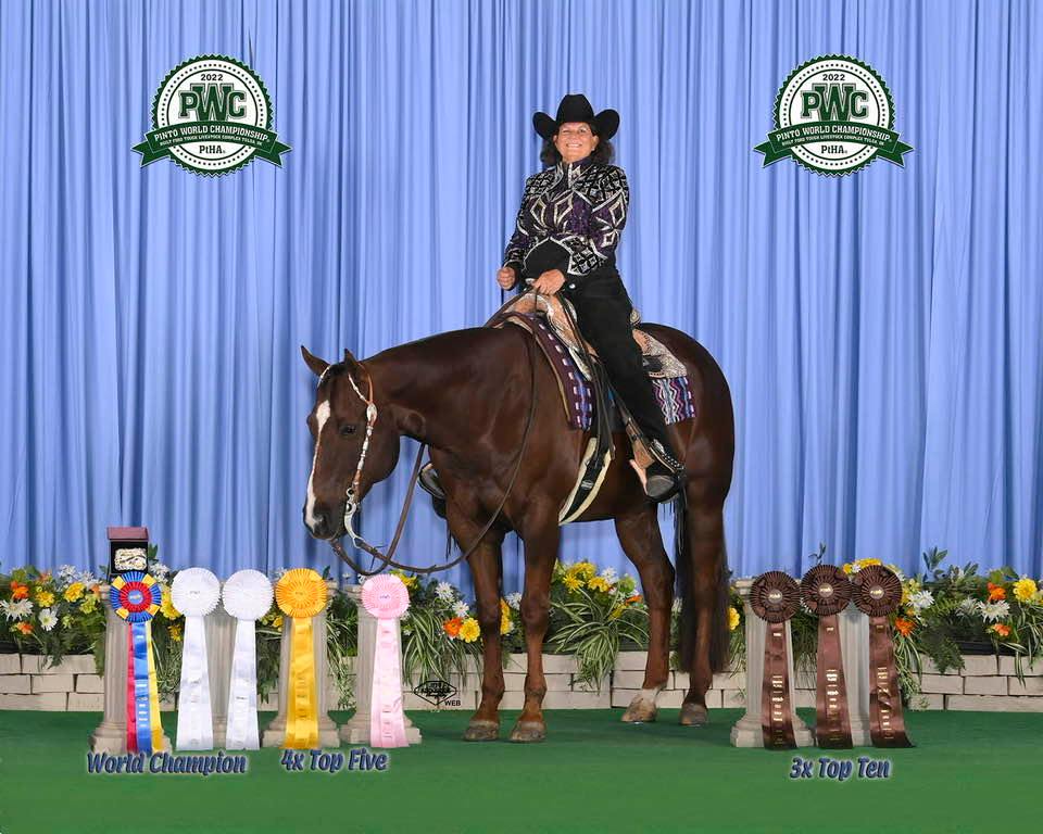 Lisa wild fire horse show