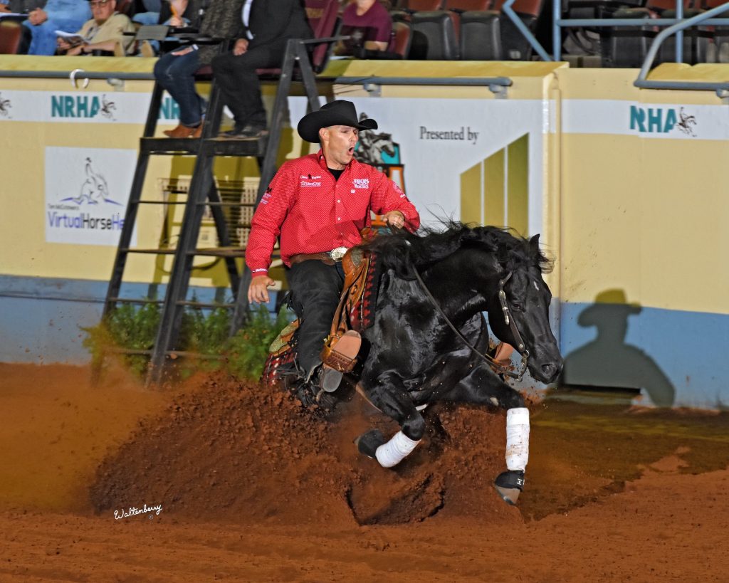A Vintage Smoke reining horse