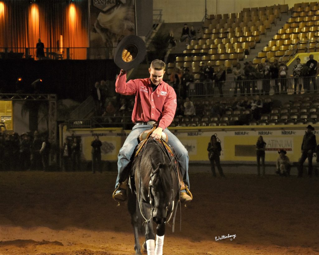 A Vintage Smoke reining horse
