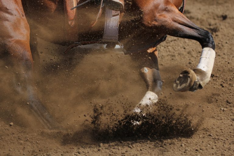 An action photo of a horse sliding and kicking up dirt in a hori