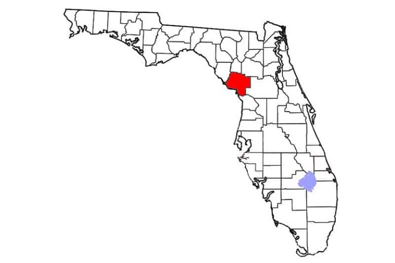 Florida_LevyCo_Wiki