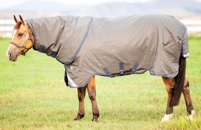 HR_22WIN_Solutions_01