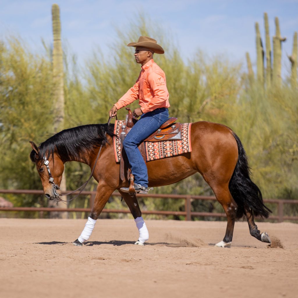 Gain confidence in the saddle by practicing elements of your pattern at home.