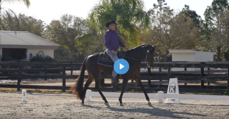 Tim extending the trot