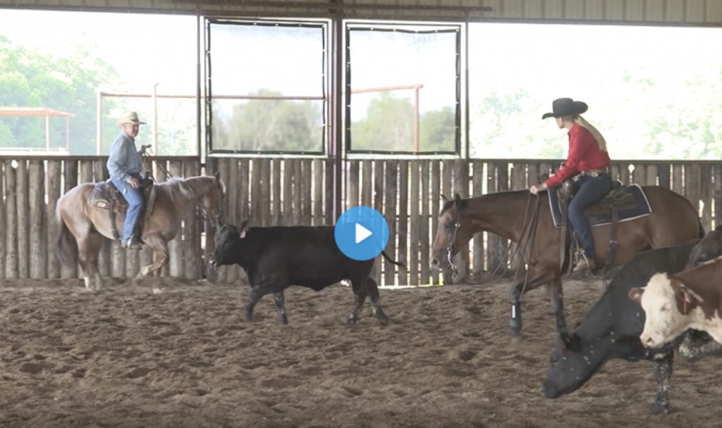 Cara Brewer cutting a cow